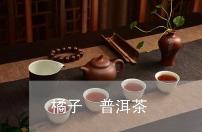 橘子 普洱茶/2023042898910